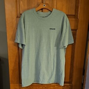 Patagonia Men's Light Green Short Sleeve Tee